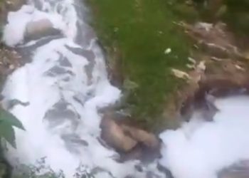 बड़ी खबर : यहां नदी में बहाया सैकड़ो लीटर विषैला लिक्विड, ग्रामीणों की जान को खतरा