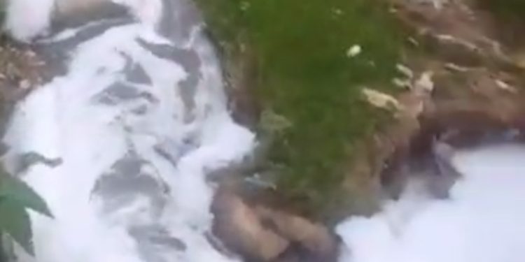 बड़ी खबर : यहां नदी में बहाया सैकड़ो लीटर विषैला लिक्विड, ग्रामीणों की जान को खतरा