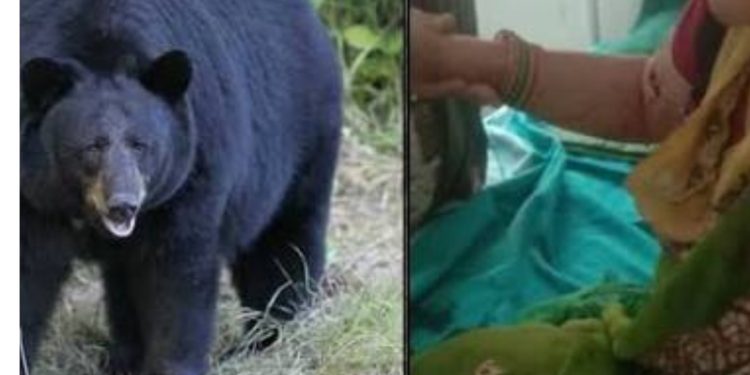 बड़ी खबर: पत्नी की जान बचाने के लिए पति ने दराती से किया भालू पर हमला