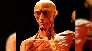 मुर्दों के म्यूजियम में पहुंची महिला, अपने बेटे का शव देख हुई हैरान