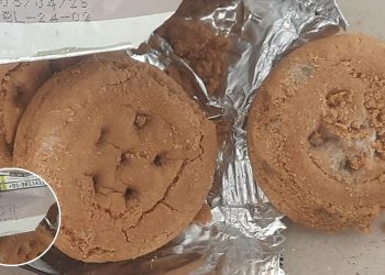 रजत जयंती के कार्यक्रम में महिलाओं को बांटे फफूंदी लगे एक्सपायरी बिस्किट, बाल विकास विभाग पर उठे सवाल