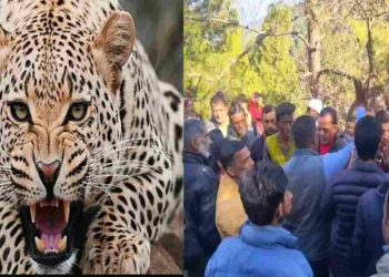 पौड़ी : गुलदार के हमले से गुस्साए ग्रामीण, वन विभाग कर्मचारियों को किया कैद