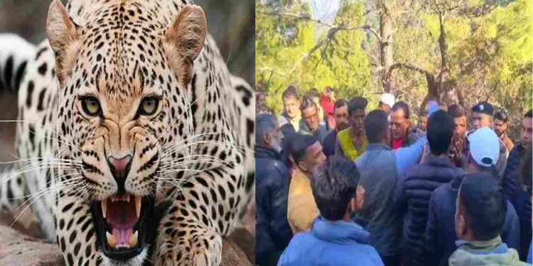 पौड़ी : गुलदार के हमले से गुस्साए ग्रामीण, वन विभाग कर्मचारियों को किया कैद