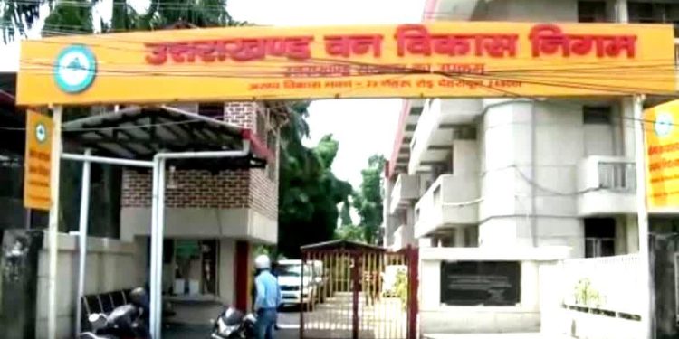 वन विकास निगम में करोड़ों का घोटाला, कर्मचारियों ने कर दिया खुलासा