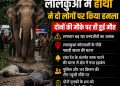 लालकुआं में जंगली हाथी का भयानक हमला: दो लोगों की मौके पर मौत, इलाके में मचा हड़कंप