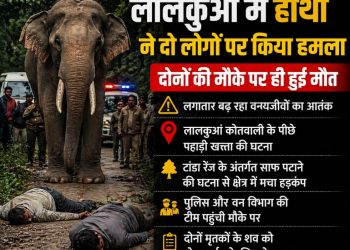 लालकुआं में जंगली हाथी का भयानक हमला: दो लोगों की मौके पर मौत, इलाके में मचा हड़कंप