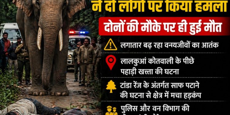 लालकुआं में जंगली हाथी का भयानक हमला: दो लोगों की मौके पर मौत, इलाके में मचा हड़कंप