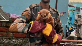 उत्तराखंड के एक घर से वनकर्मियों को मिली उड़ने वाली गिलहरी