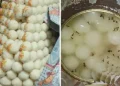 त्योहार में मिठाई के नाम पर जहर बेच रहे दुकानदार, कहीं मिले मिठाईयों में कीड़े मकोड़े, तो कही गंदे टीन में भरे रसगुल्ले