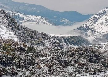 उत्तराखंड में बदला मौसम, पहाड़ी इलाकों में हुई बर्फबारी, इन जिलों में येलो अलर्ट