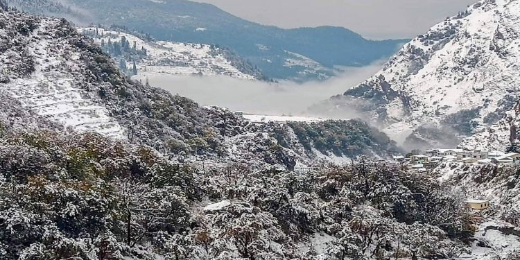 उत्तराखंड में बदला मौसम, पहाड़ी इलाकों में हुई बर्फबारी, इन जिलों में येलो अलर्ट