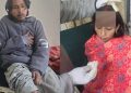 चमोली में भालू का आतंक! गोशाला में घुसकर गाय को मार डाला, बचाने पहुंचे परिवार के 4 लोगों पर हमला