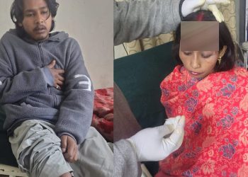 चमोली में भालू का आतंक! गोशाला में घुसकर गाय को मार डाला, बचाने पहुंचे परिवार के 4 लोगों पर हमला
