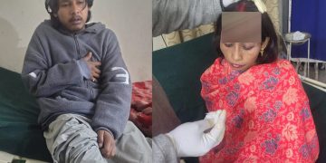 चमोली में भालू का आतंक! गोशाला में घुसकर गाय को मार डाला, बचाने पहुंचे परिवार के 4 लोगों पर हमला