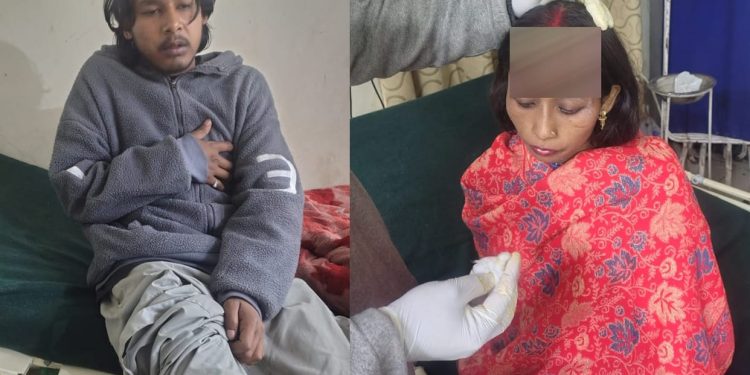 चमोली में भालू का आतंक! गोशाला में घुसकर गाय को मार डाला, बचाने पहुंचे परिवार के 4 लोगों पर हमला