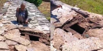 उत्तराखंड में भालू का आतंक! गश्त, सायरन और फॉक्स लाइट भी बेअसर, टिहरी में घरों पर हमले से दहशत