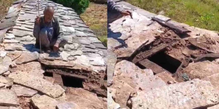 उत्तराखंड में भालू का आतंक! गश्त, सायरन और फॉक्स लाइट भी बेअसर, टिहरी में घरों पर हमले से दहशत