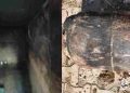उत्तरकाशी के स्यालना गांव में घर के अंदर गैस सिलिंडर में लगी आग, रसोई का सारा सामान जलकर राख!