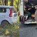 टिहरी में बड़ा हादसा! 50 मीटर गहरी खाई में गिरी वैगनआर, पेड़ पर अटकी कार; दंपति घायल