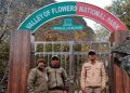 फूलों की घाटी पर्यटकों के लिए बंद, इस बार टूटे पिछले सभी रिकॉर्ड, 35,261 सैलानियों ने किया दीदार, ₹67 लाख से ज्यादा की कमाई!